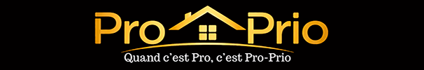 Seine Immobilier Choisy-le-roy